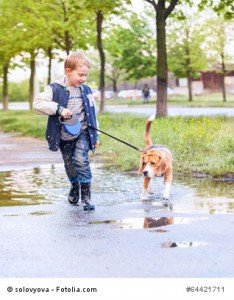 Hundehaftpflichtversicherung – Junge mit Hund im Regen